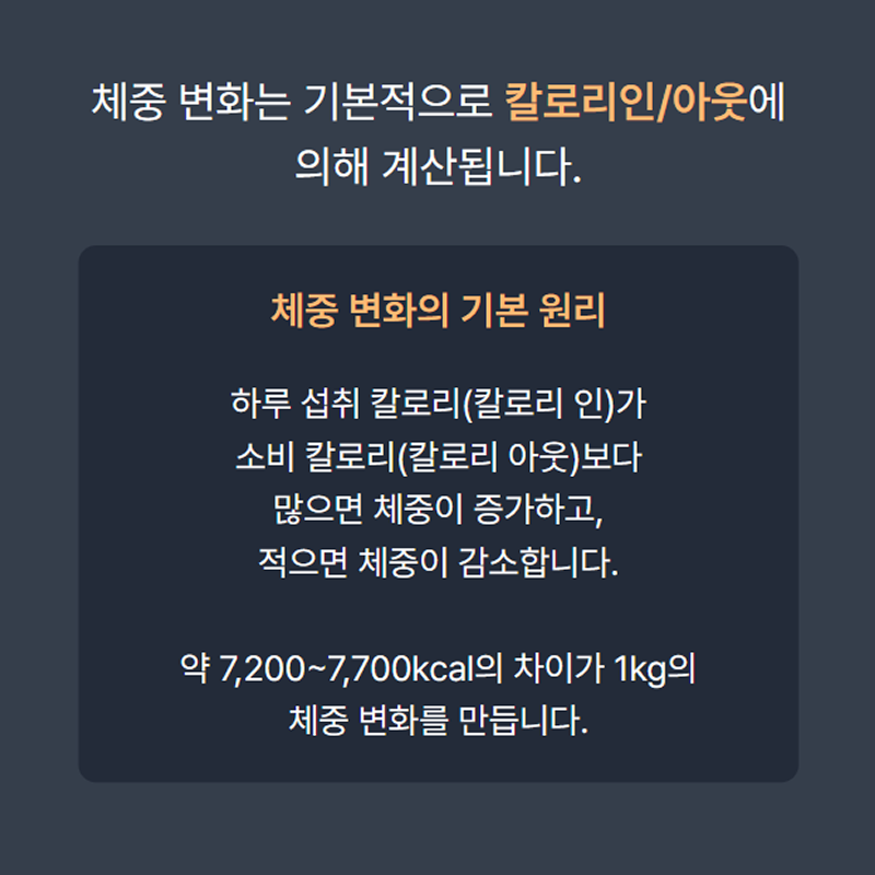 목표 달성을 위한 맞춤형 식단 가이드